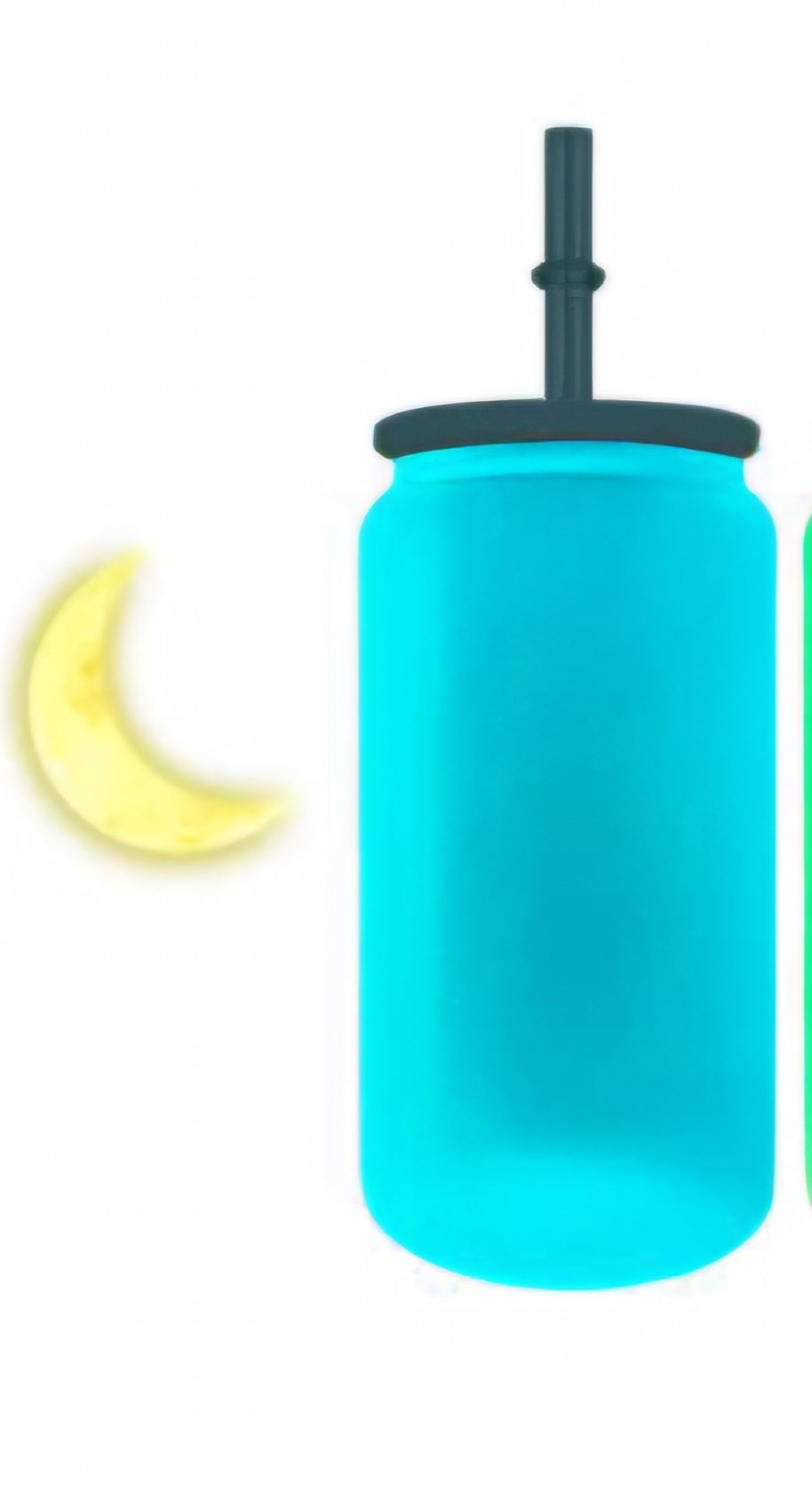 16oz Stainless Can Glow in Dark